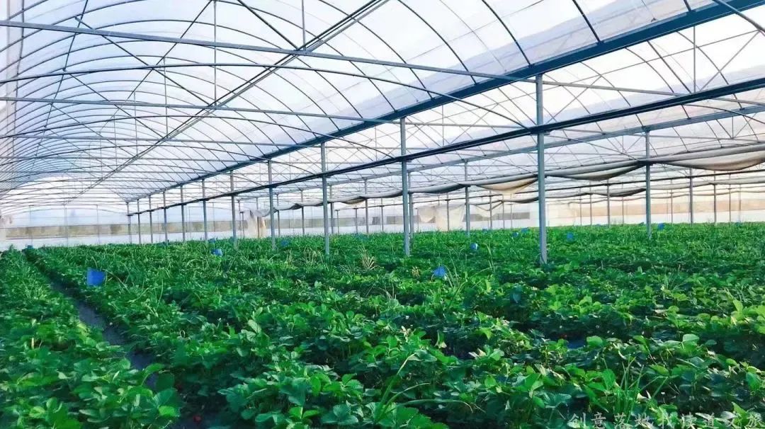 解析全国16个整村运营,解码全国16个整村运营经典案例