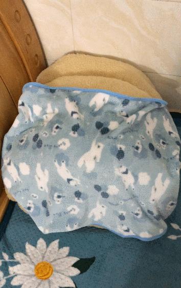 养猫的100个怪癖,养猫变态