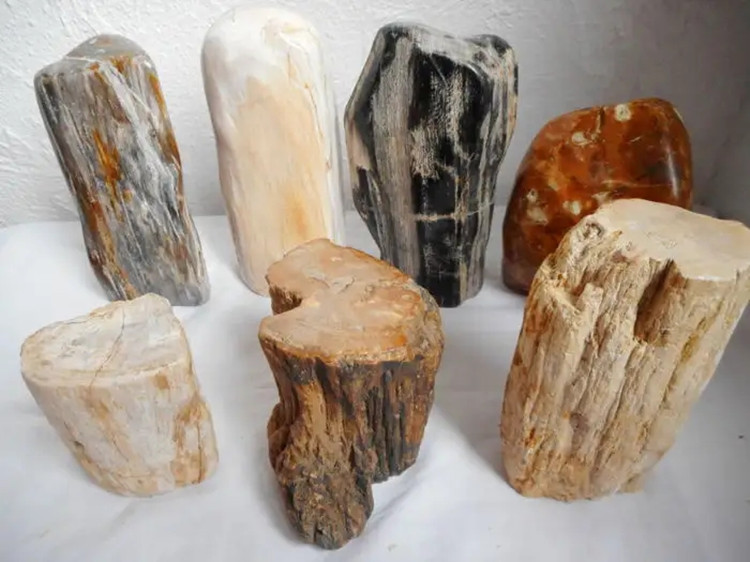 美国给瑞士月球土壤是假的吗,美国送荷兰的月岩样本