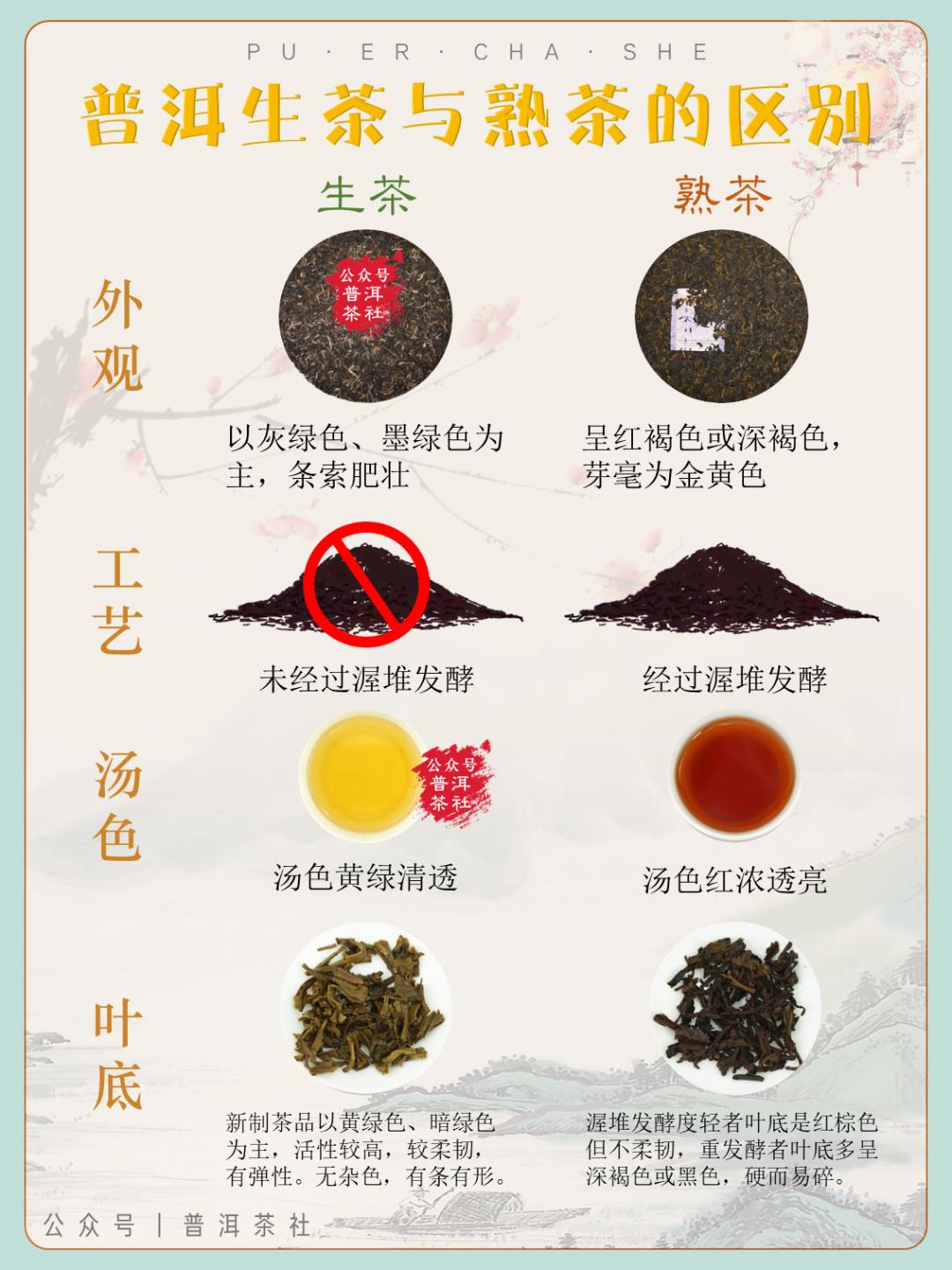 普洱茶惊艳的小产区,一张图看懂100个普洱茶产区
