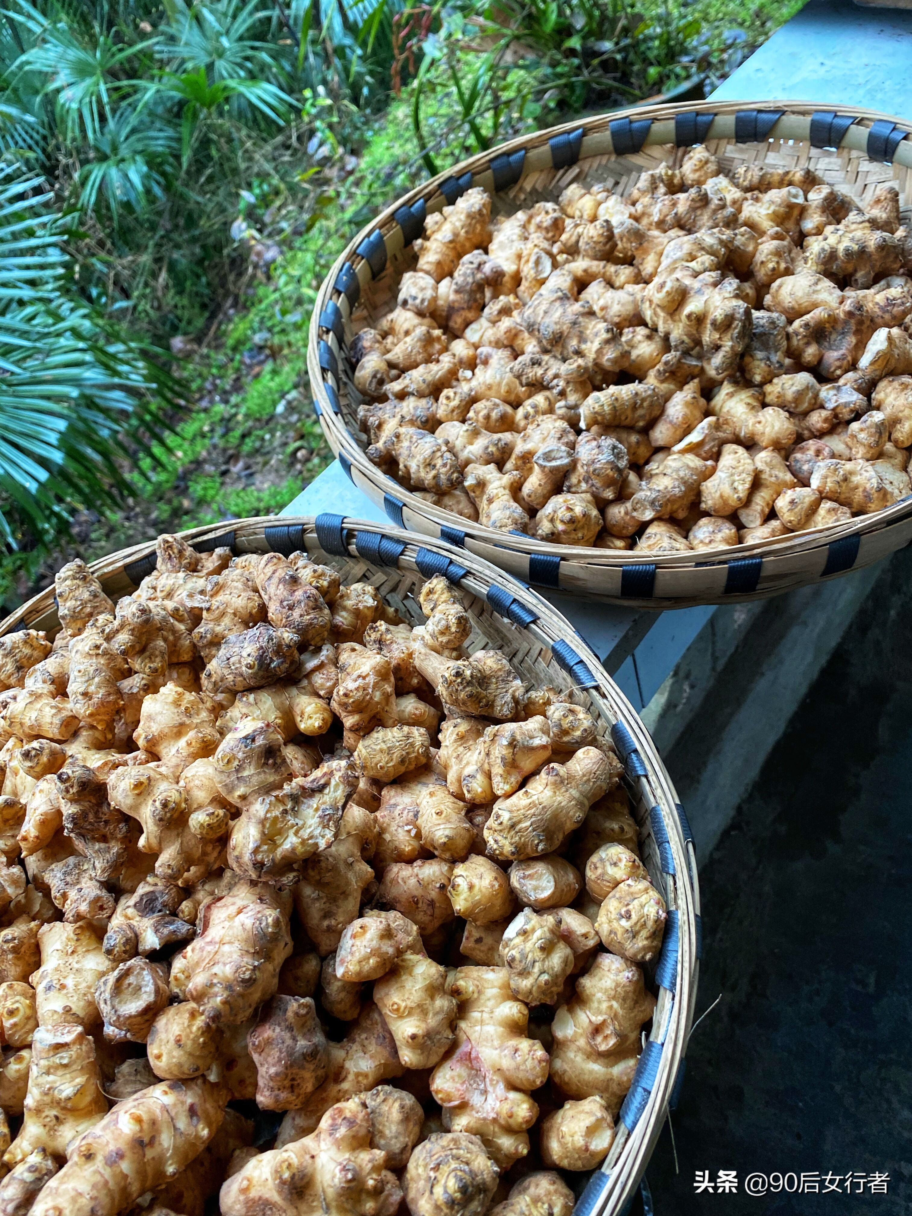 下雨天去拜访师傅合适吗,雨天去青城山