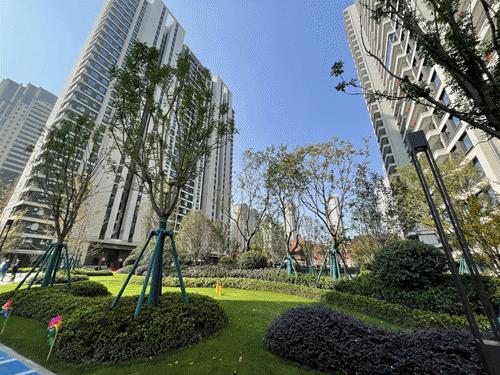 验房金地如期交付,金地2025年交房靠谱吗