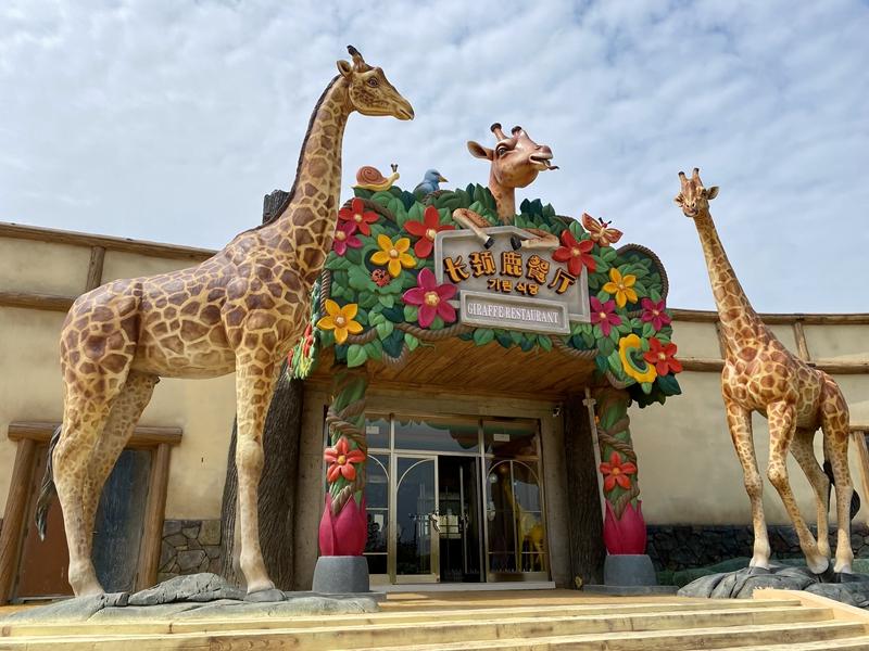 我们的妈妈小时候都是玩什么,妈妈也是个爱玩的孩子