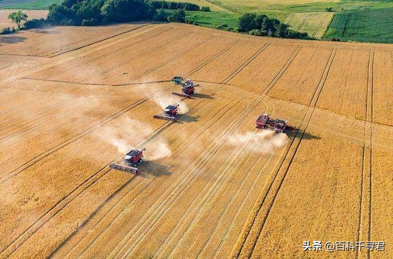 粮食产量对比表国家,粮食产量自给率