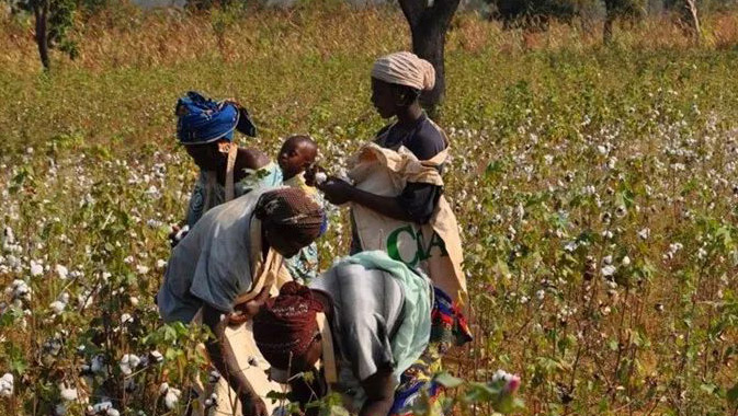 二十多块钱一条的牛仔裤,几十块钱的牛仔裤和100块钱的差别