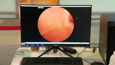 伴宠机器人自动陪玩、迷你胶囊装镜头…硬核“黑科技”产品云集|探营高交会