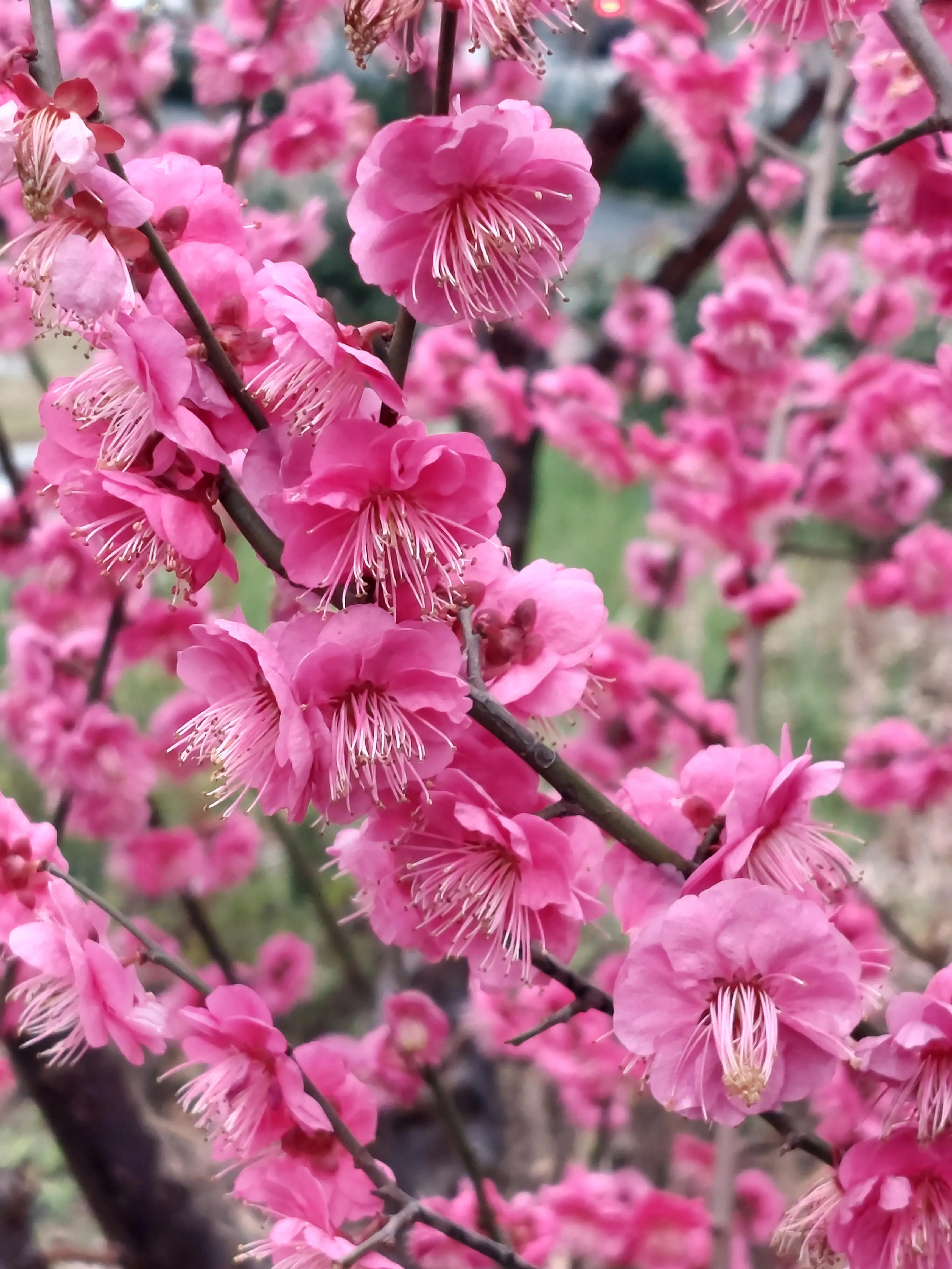 找工作的时候要和hr说工作难找吗,资深hr吐槽3种求职者