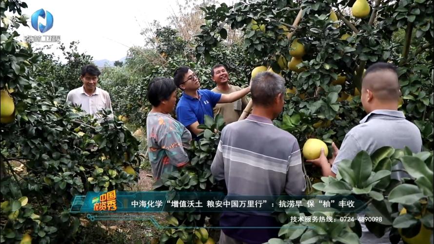 中海化学“增值沃土粮安中国万里行”||旱涝之年如何确保正果率