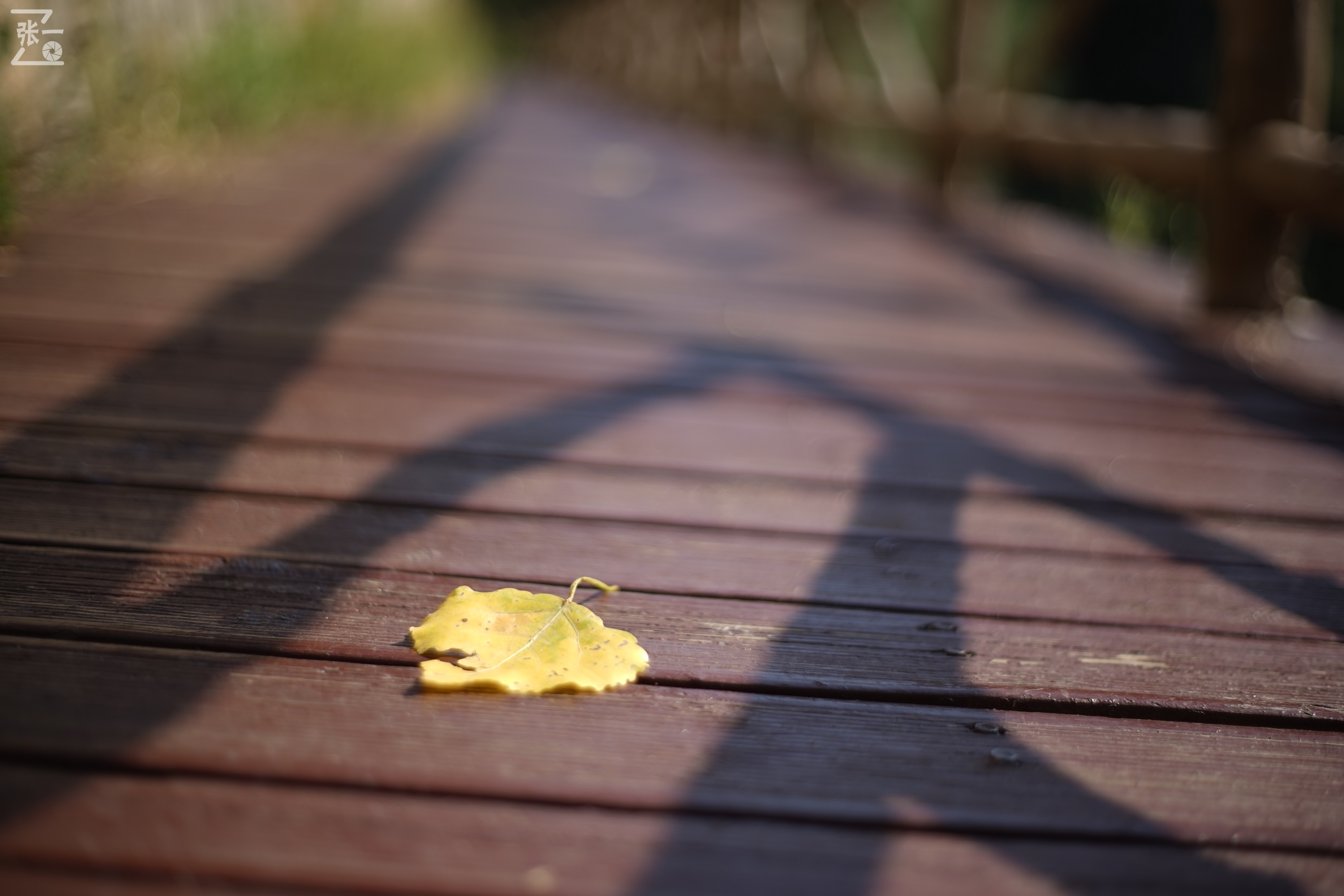 老镜头实拍,老镜头拍北京