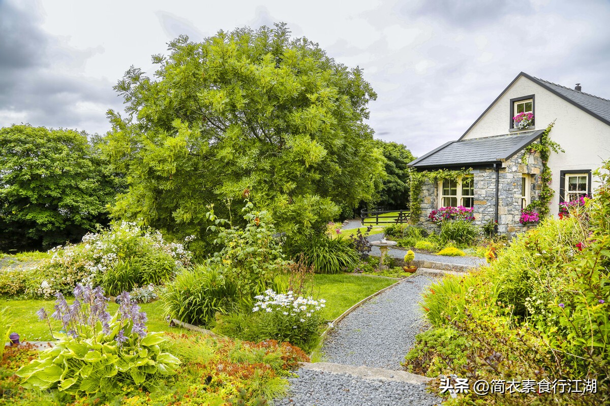 她做保姆这些年－豪门生活之夫妻相见（498）