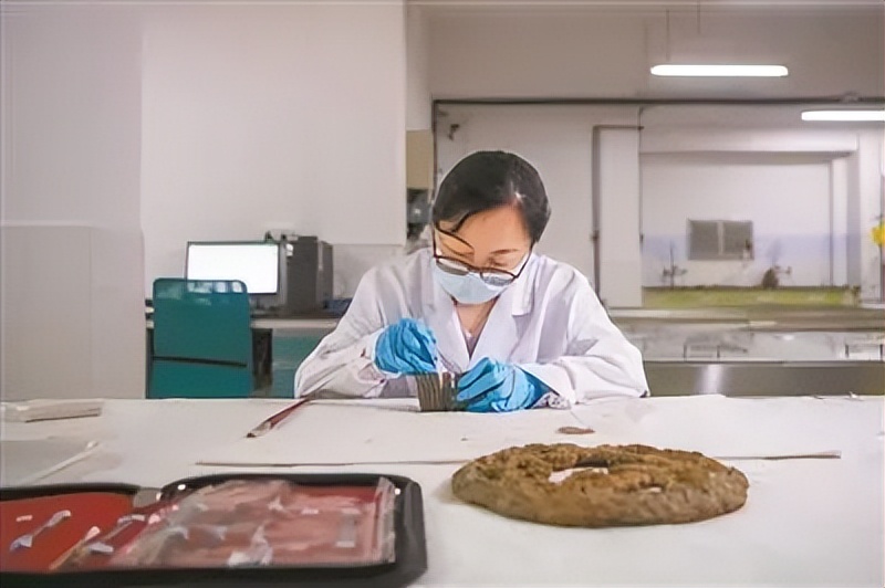 如何合理应对，*物文**的霉变生虫问题，是现阶段*物文**人员核心任务