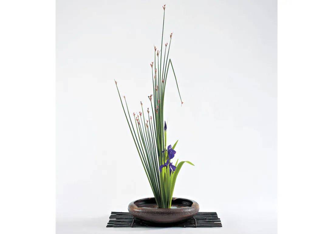 日式插花小原流花道,日式插花的13个基本技巧