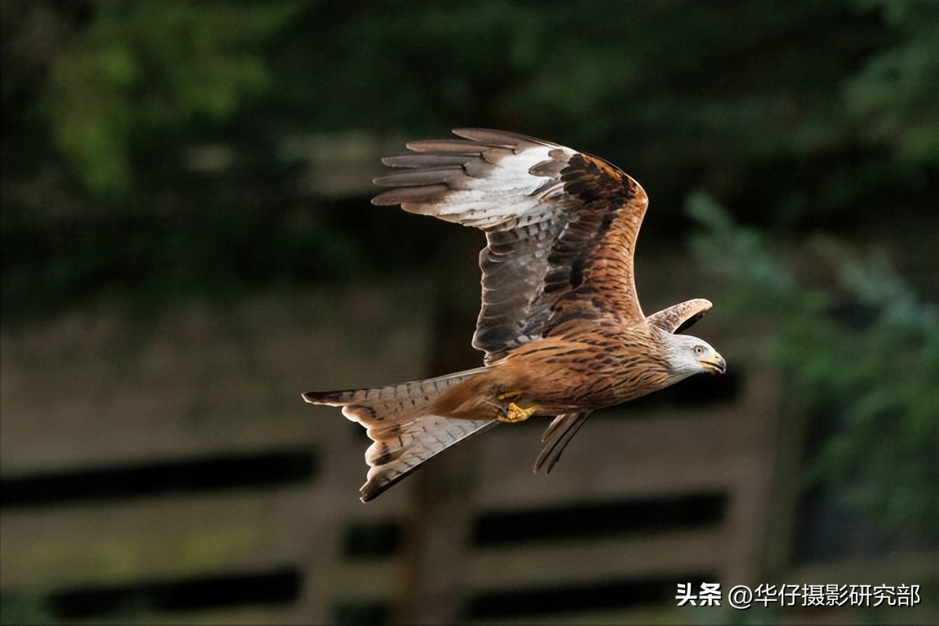 佳能r7与索尼a6400,佳能微单r7和r6哪个级别高些