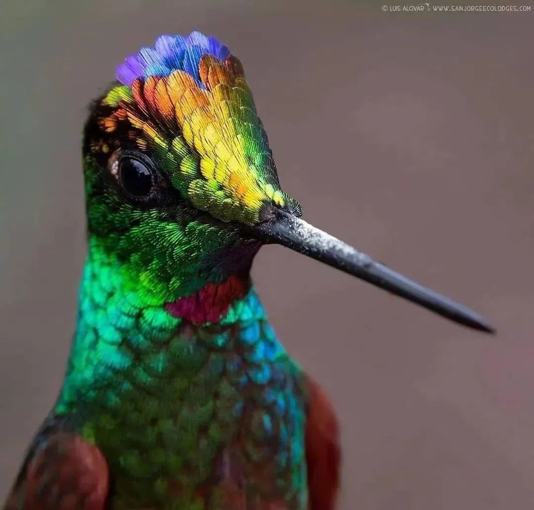 趣知识科普,趣知识