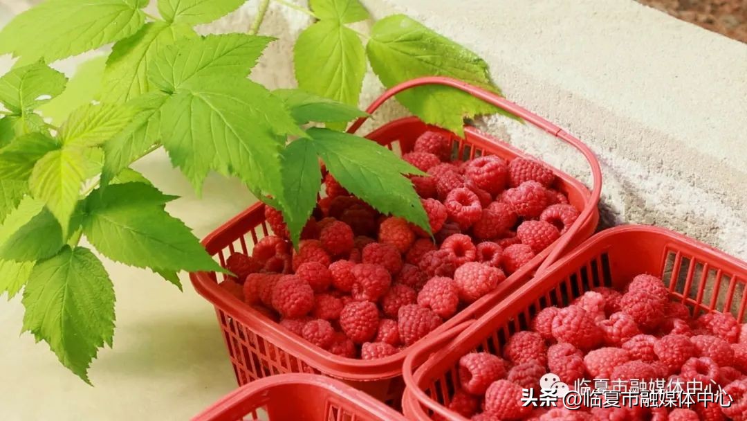 为高质量发展高质量跨越贡献力量,为高质量发展开好局