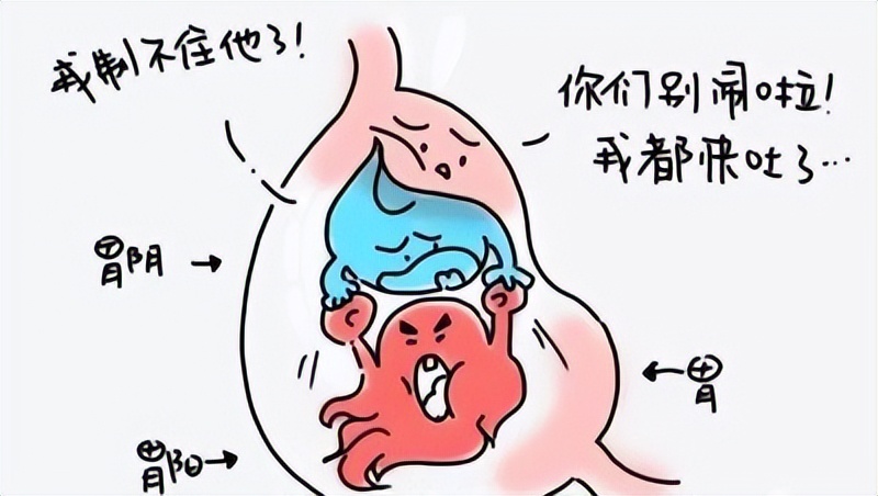 胃痛没胃口呕吐怎么办,胃痛没有食欲有恶心感