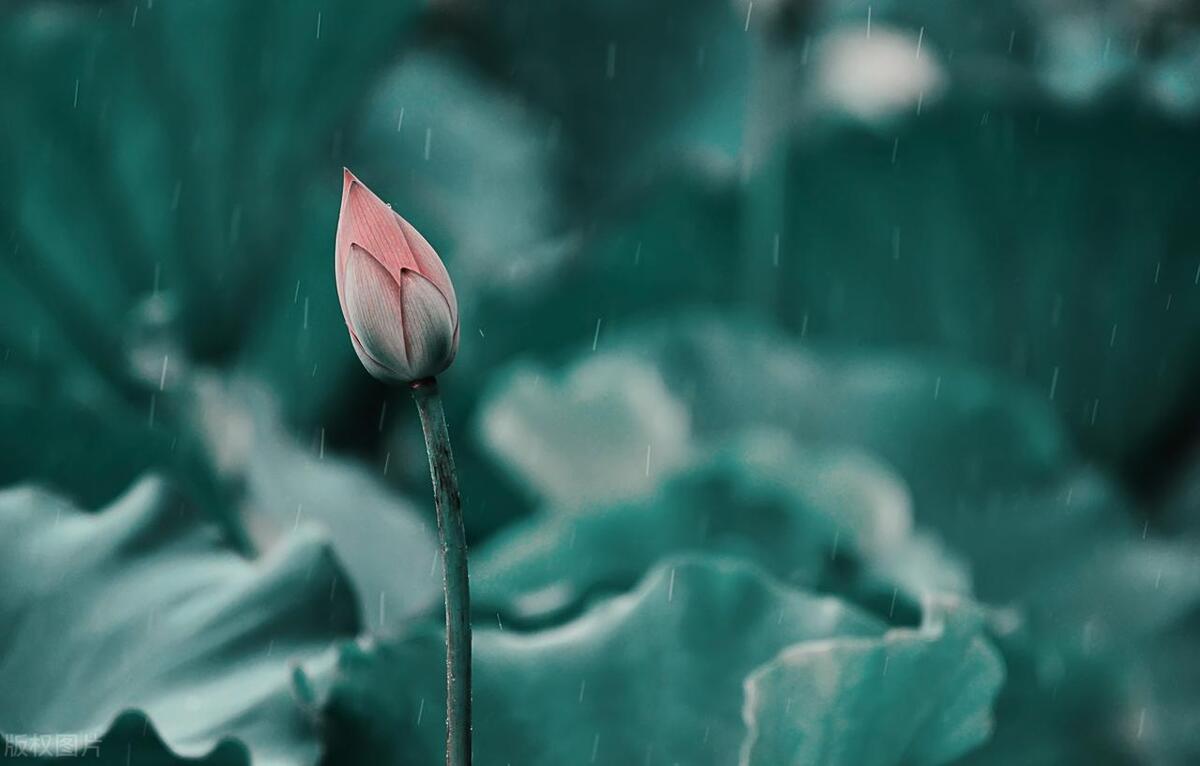 伤害一个人还会伤害另一个人,伤害一个人总是很简单