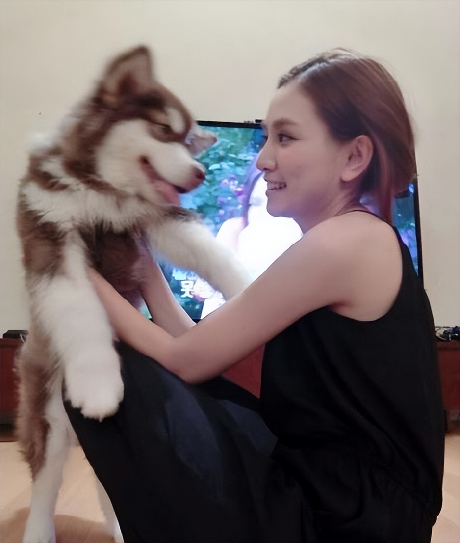 汪小菲王思聪王健林,王思聪汪小菲王健林