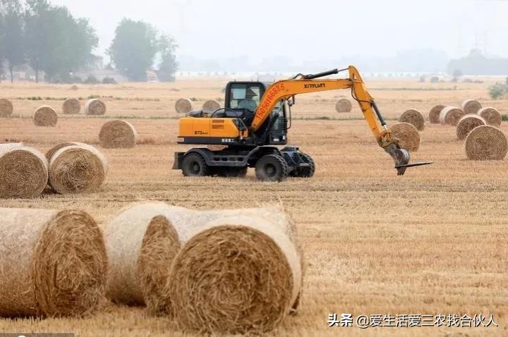 5个农村暴利小作坊推荐,农村集市暴利的小生意