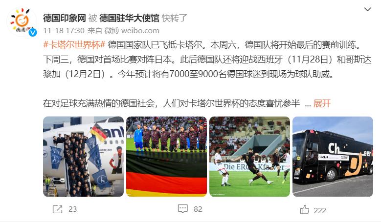 世界杯决赛阿根廷vs法国中国球迷,世界杯美洲区预选赛阿根廷巴西