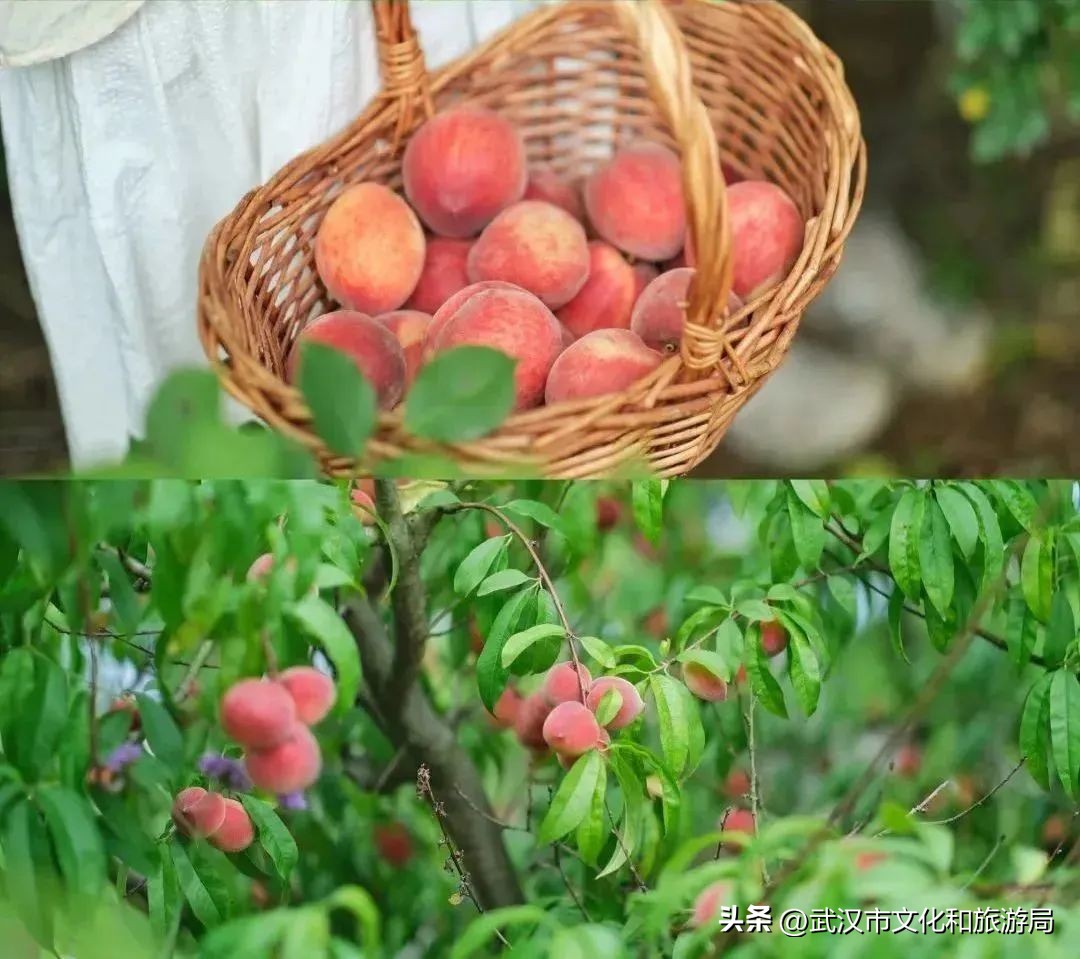 端午游攻略视频,端午出行攻略视频