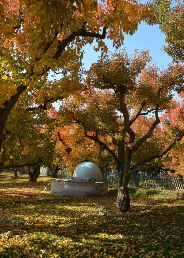 乡村魅力促振兴,皋兰县美丽乡村