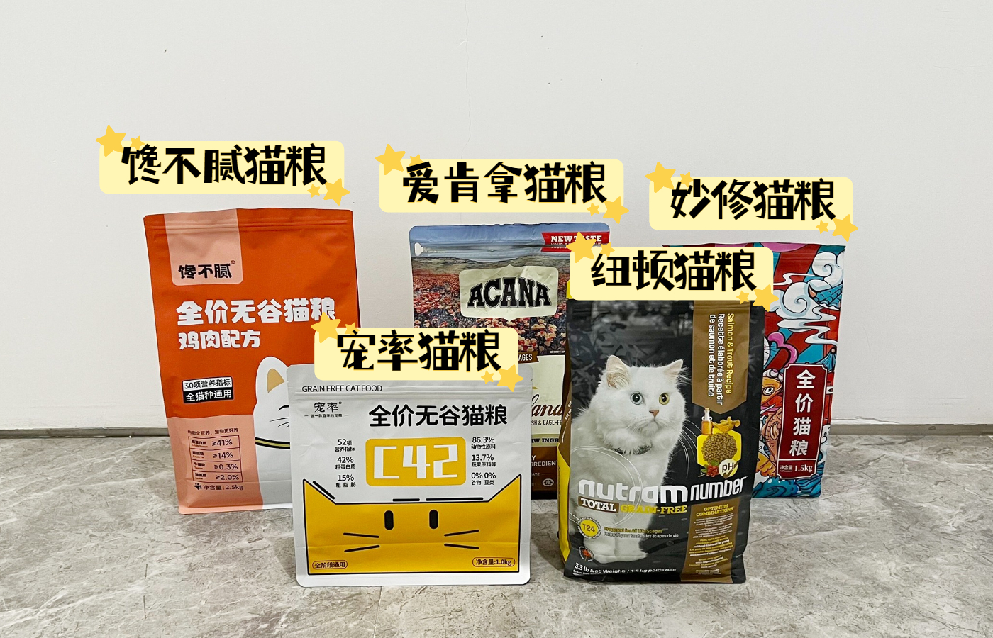 禁止养猫的十大建议,5种猫不能养已被列入禁养名单