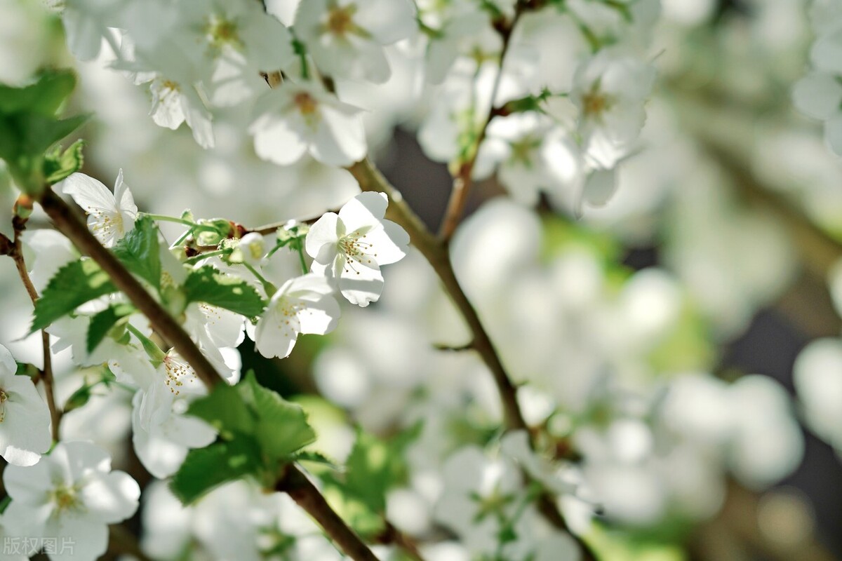 比较有诗情画意的五绝,最美五言绝句楷书古诗18首