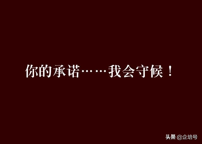 如何赢得信任的方式,赢得信任的三个品质
