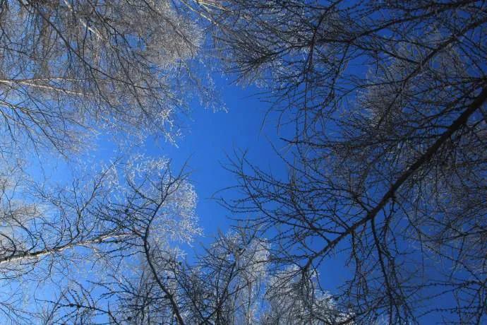 从南到北旅行,从南游到北