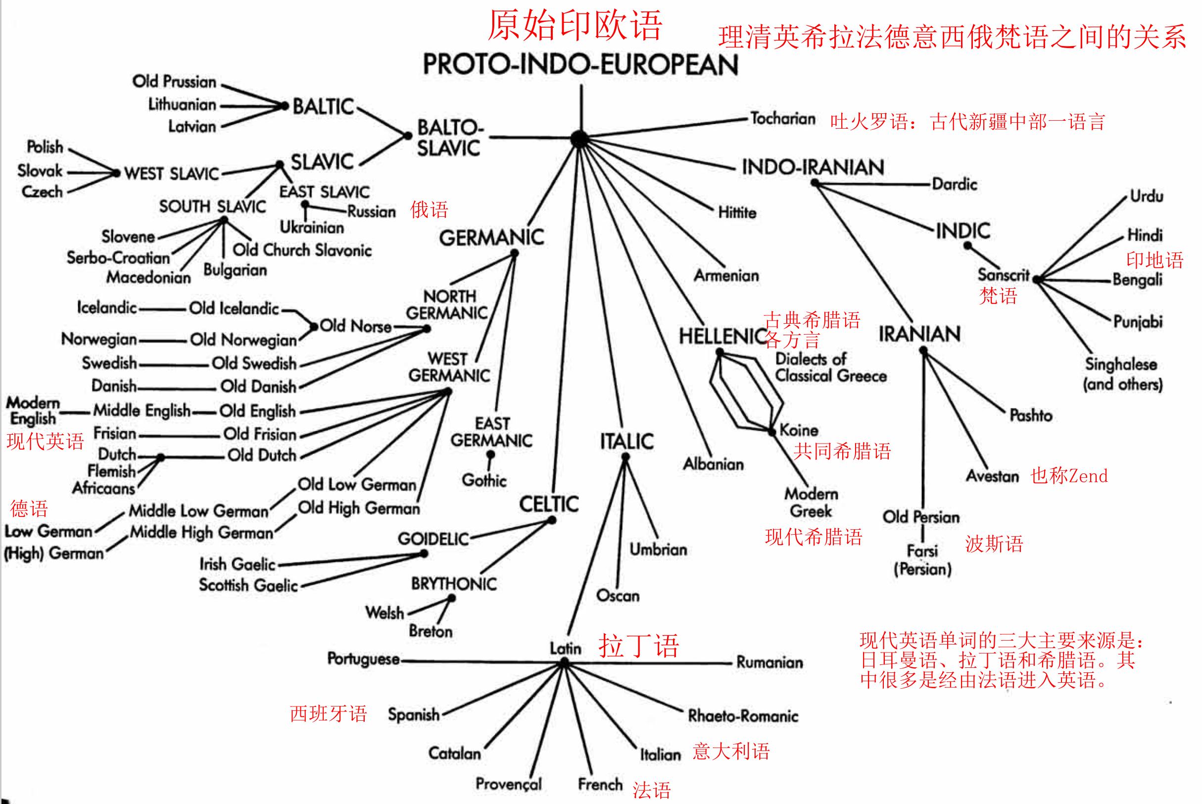 学英法德意西俄语都要识拉丁语常用字：小学生900词解析第二十课