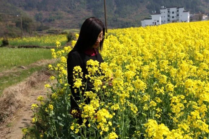 我曾踏月而来只因你在山中日落,我曾踏月而来只因你在山中