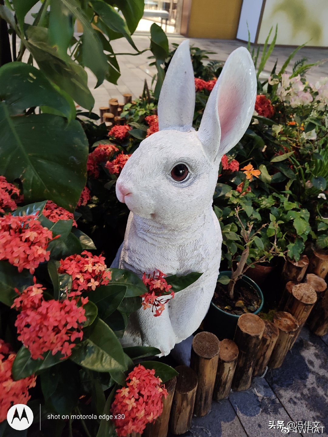 摩托罗拉edgex30运行速度对比,摩托罗拉edgex30实测热不热