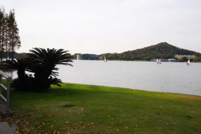 上海月湖雕塑公园游玩项目,上海月湖雕塑公园地洞迷宫