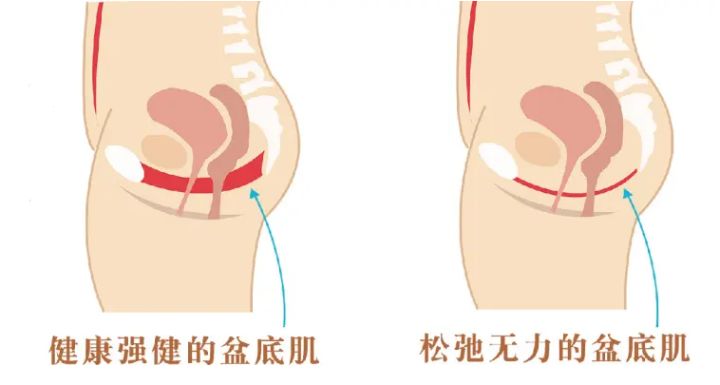 9个瑜伽动作视频教程集锦,9个瑜伽动作循序渐进练劈叉