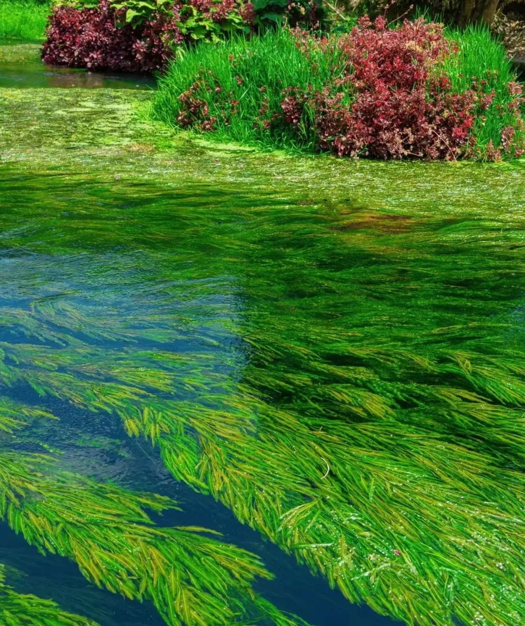 来到腾冲你不得不看的攻略！避雷推荐打卡一气呵成良心之作！