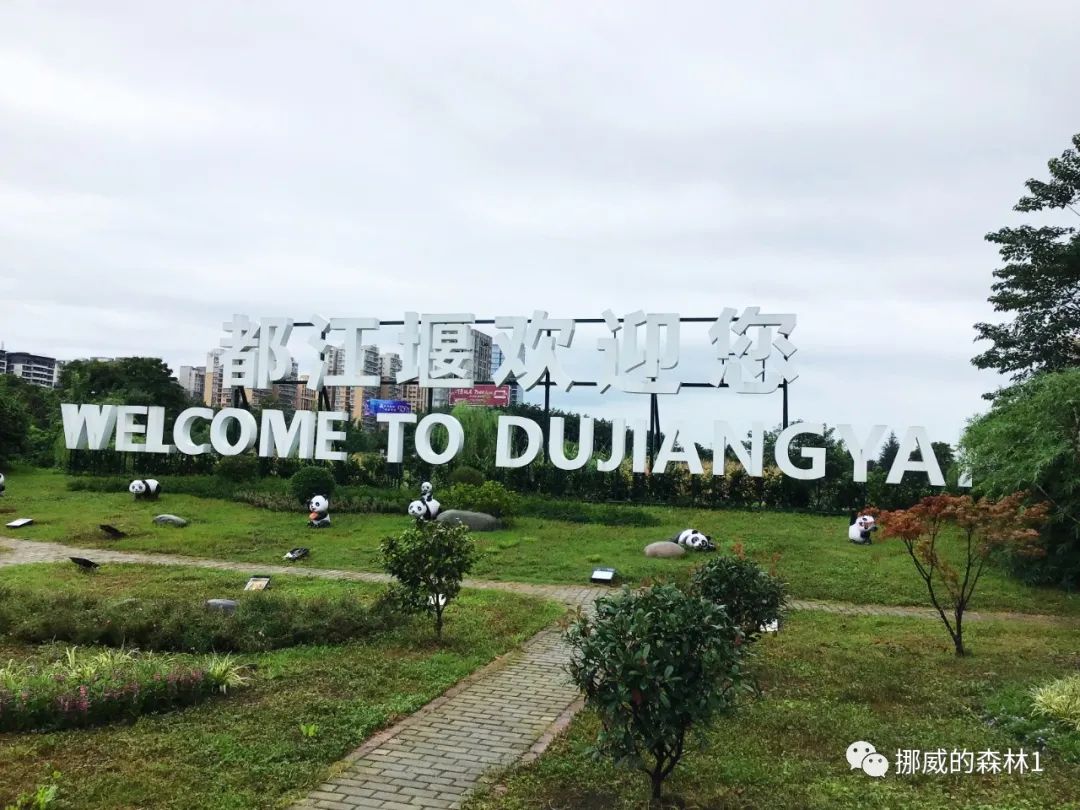 成都都江堰融创乐园门票价目表,成都融创乐园爱丽丝梦游仙境