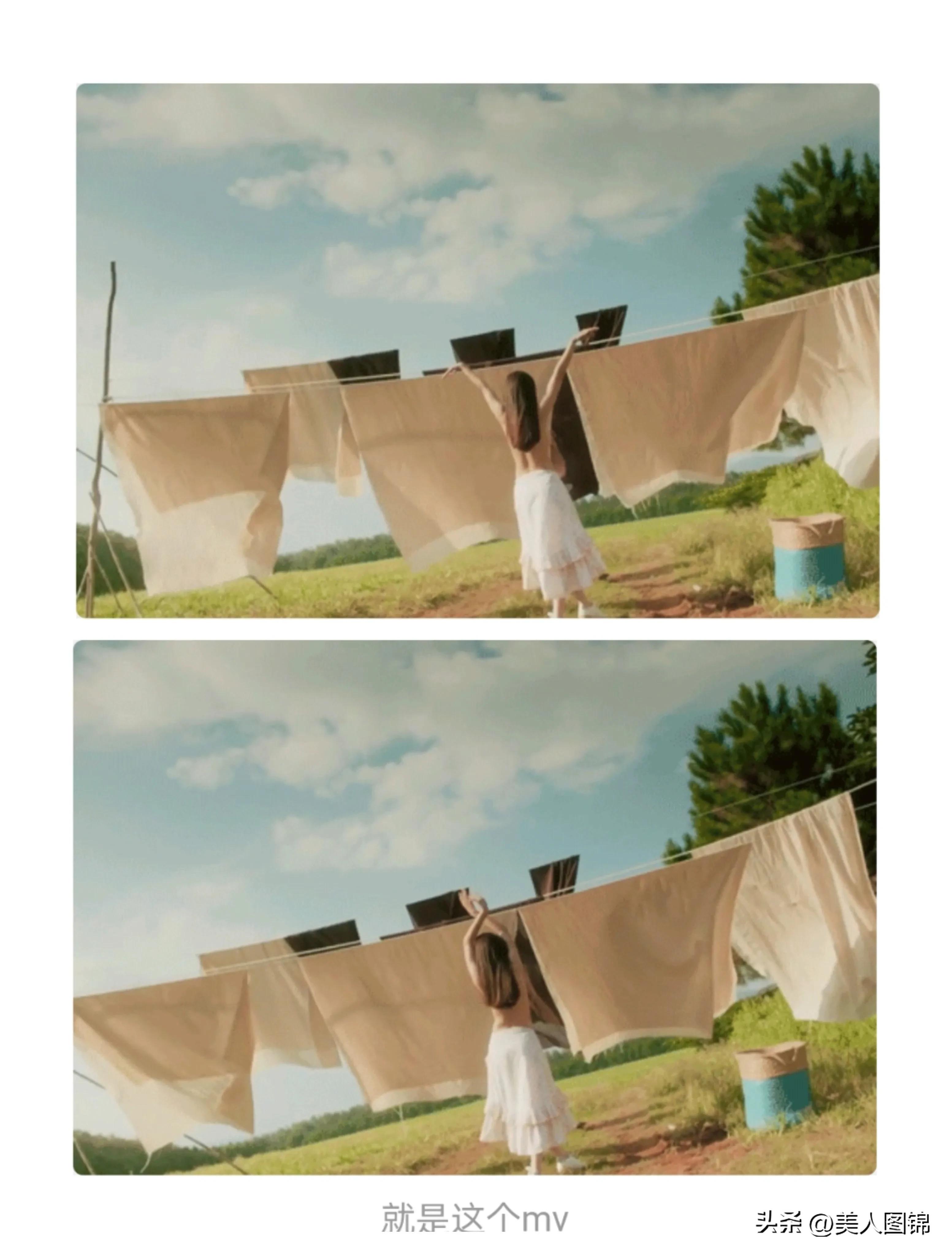 越南芝芙,芝芙越南