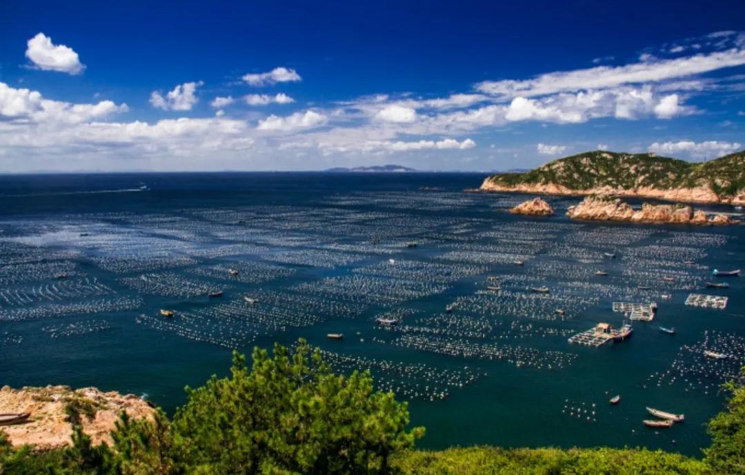 枸杞岛旅游攻略民宿费用 (枸杞岛亲子游攻略)
