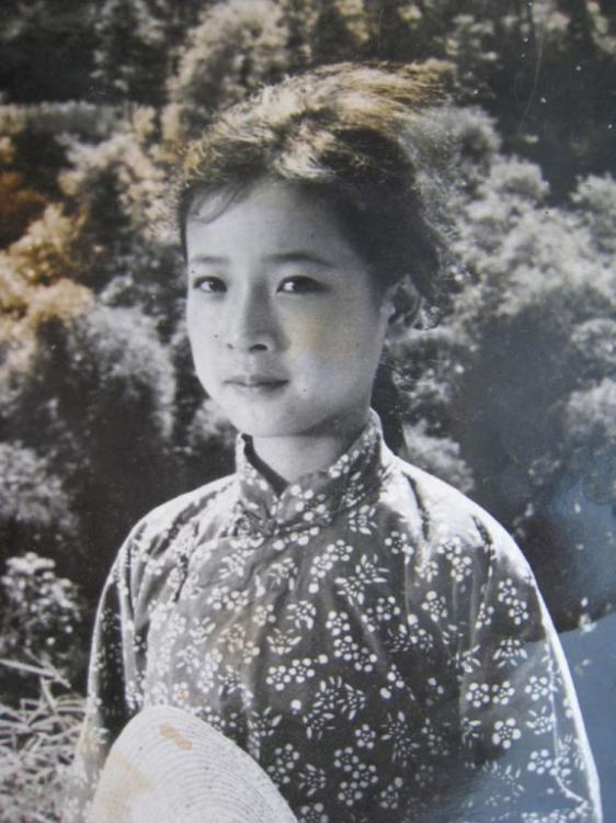 陈小艺陕西媳妇,陈小艺老公和老婆照片真实