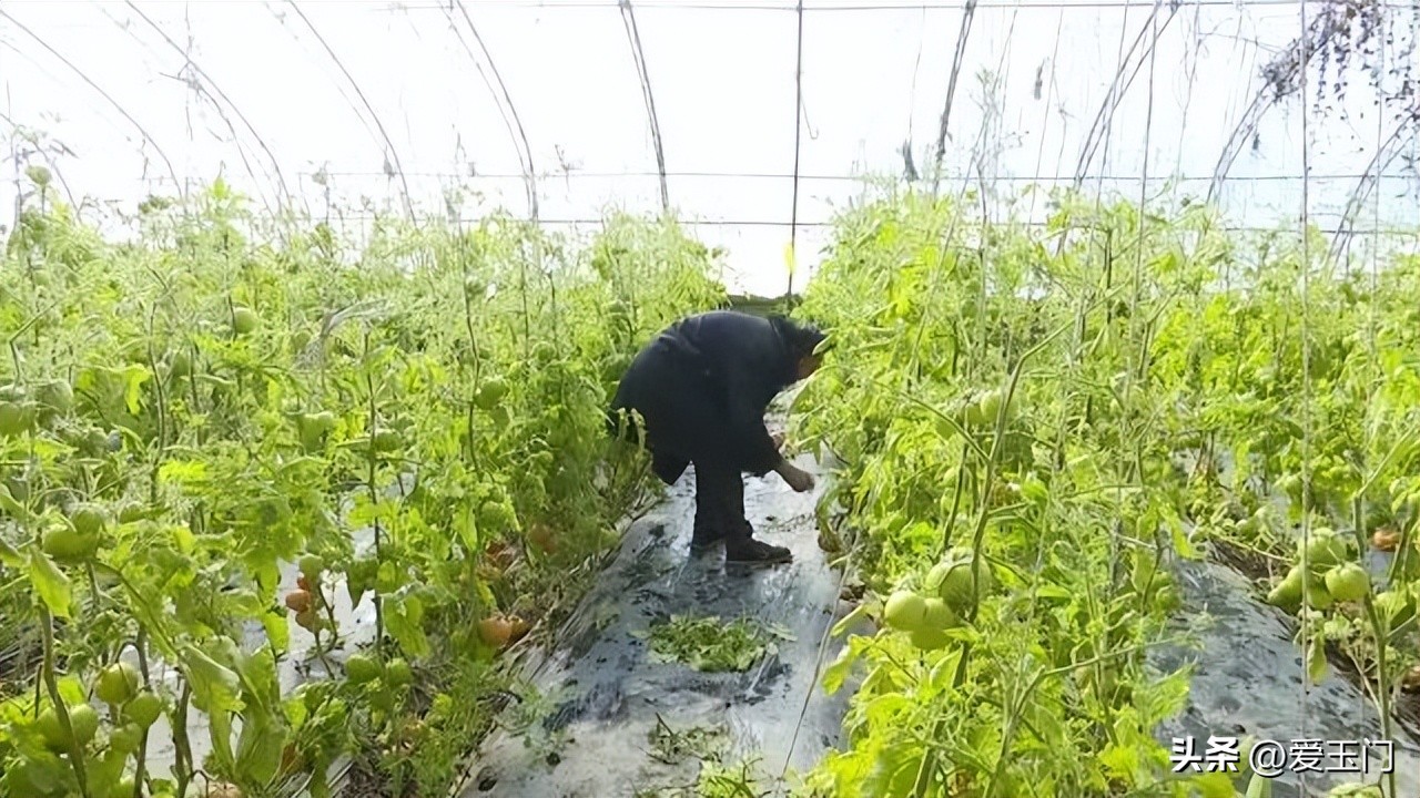 向新而行最新视频,向心而行迎光出发