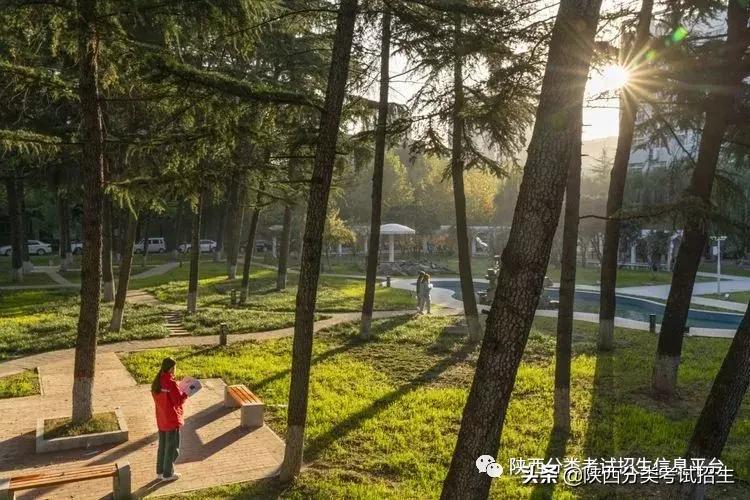 单招陕西财经职业技术学院,陕西财经职业技术学院单招条件