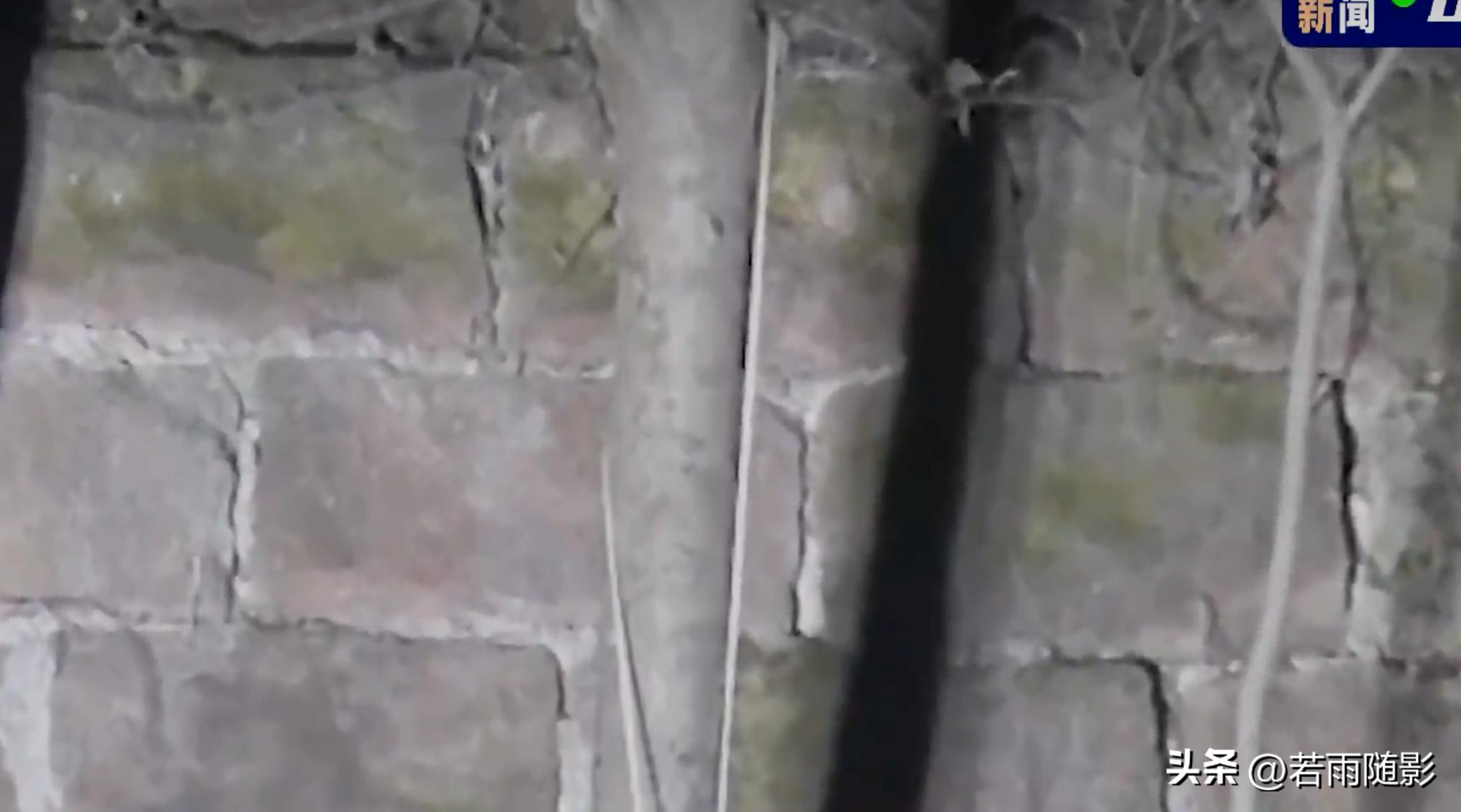 胡鑫宇案录音笔鉴定结果,胡鑫宇案尸检结果和录音笔内容