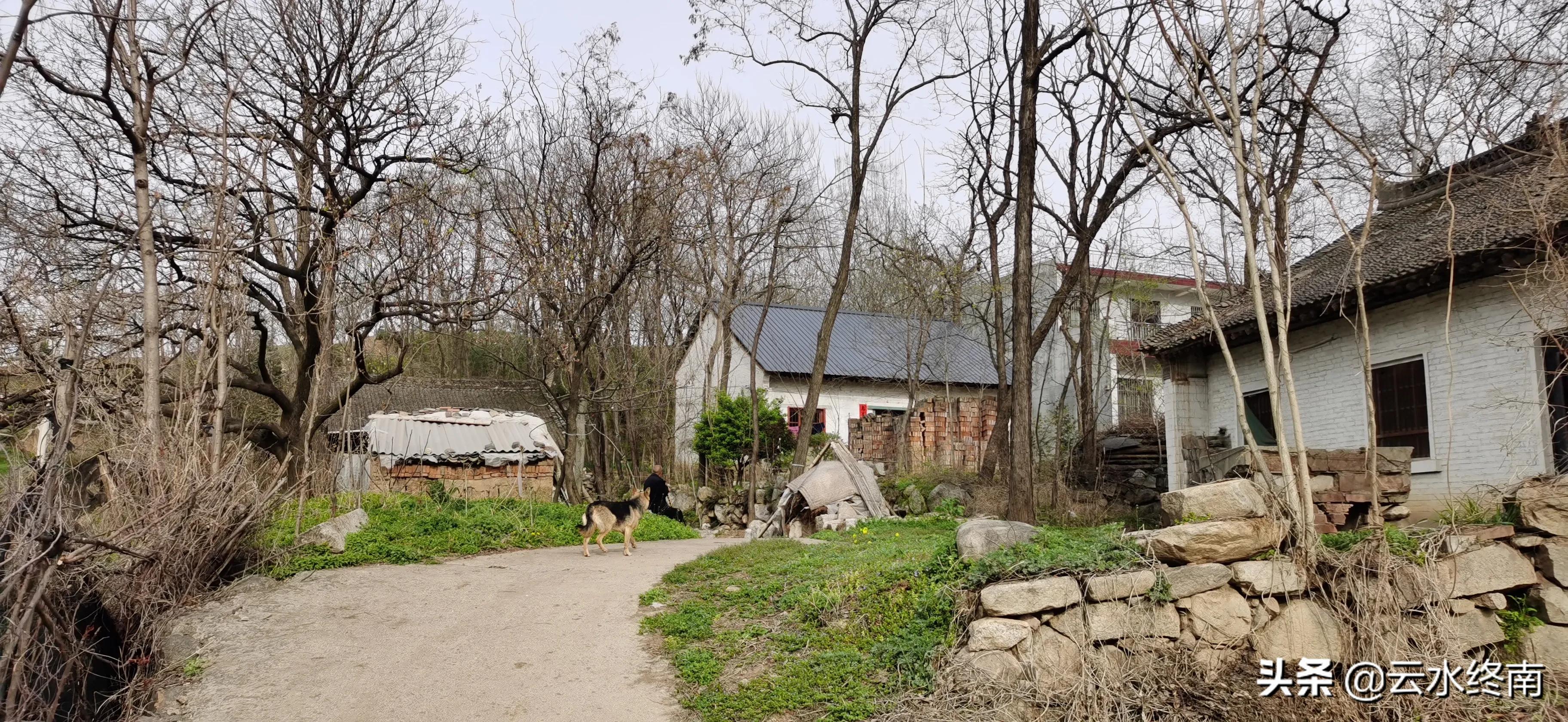 野逛桐花沟，我想欺骗一个老汉却被识破，不料却发现了一个峪口