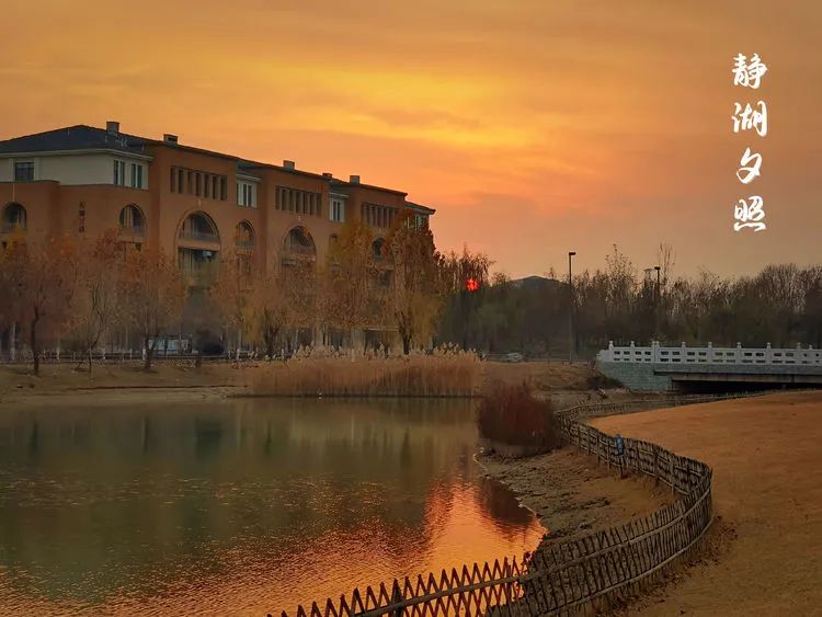 层林尽染的视频号,濮阳医专学历怎么样