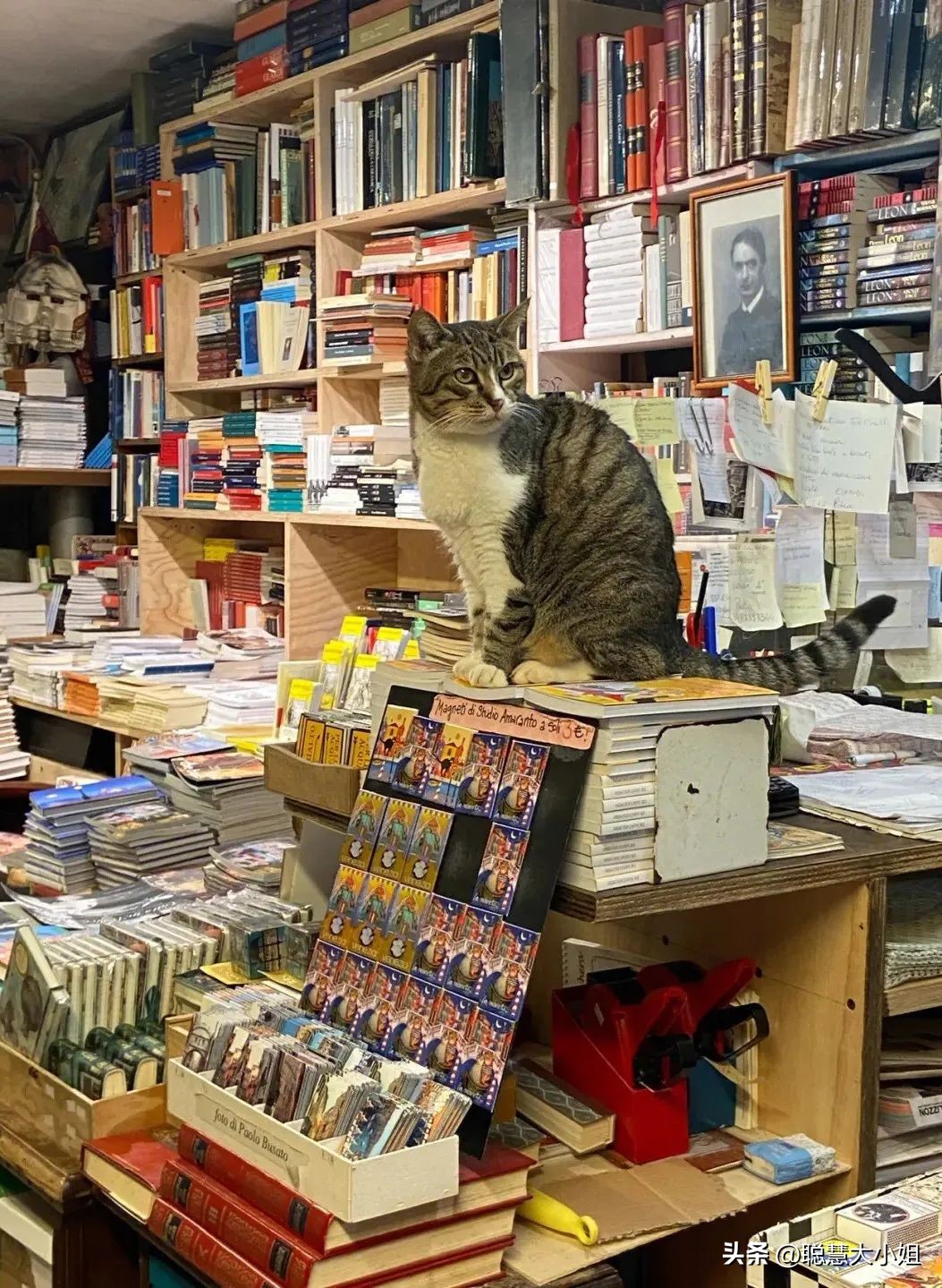 初游欧洲走进浪漫之都,欧洲游推荐自由行