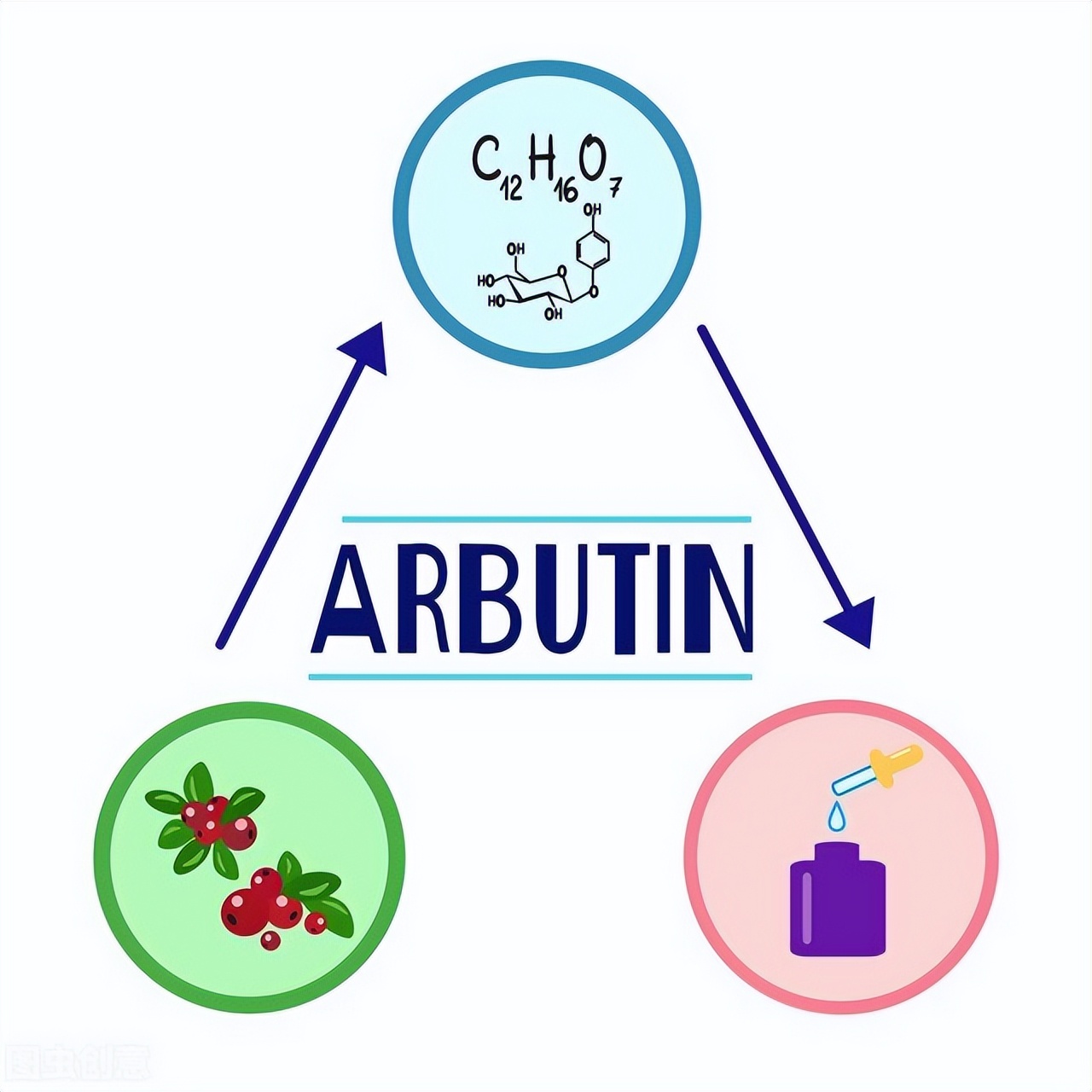 熊果苷的成分,熊果苷乳酸成分