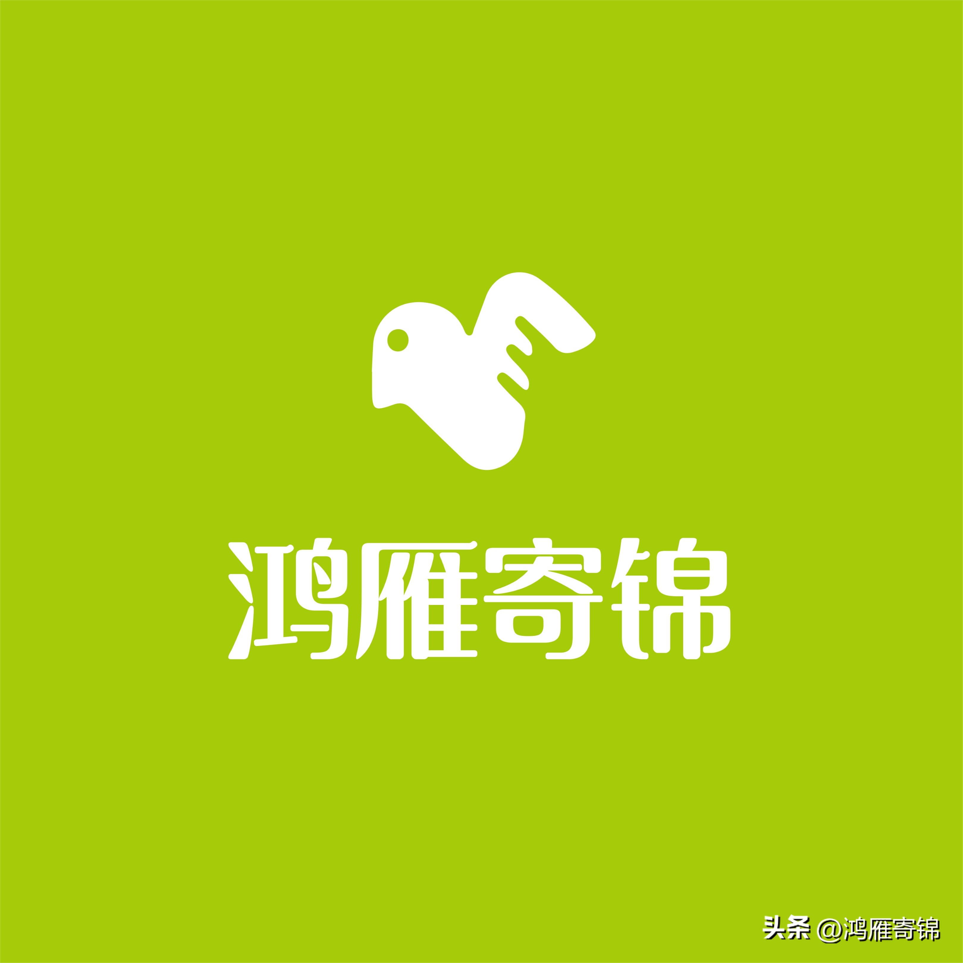 国外学历学位证书翻译找哪个机构,出国留学学历认证报告翻译件