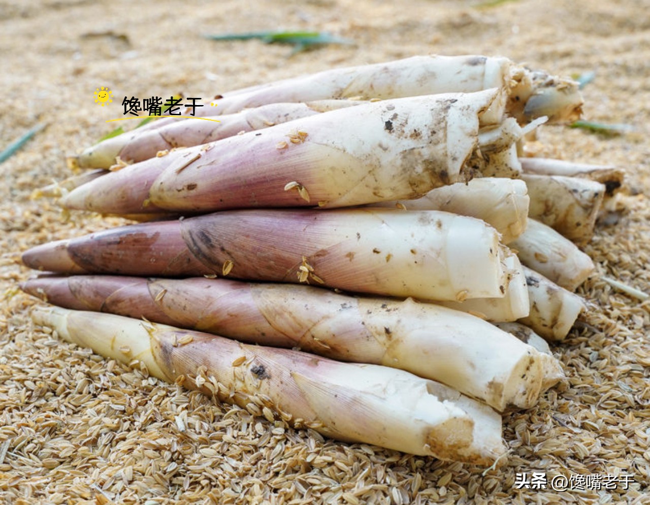 春笋几月份能买到,春笋应该买哪一种