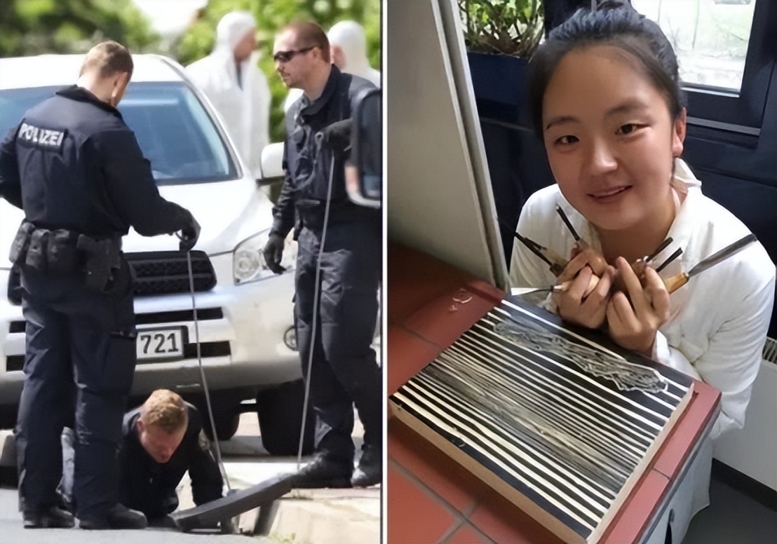 德国留学生李洋洁遇害案,留德学生李洋洁被害案